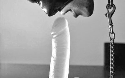 Bisexual Cock Sucking Inspires a Fantasy!